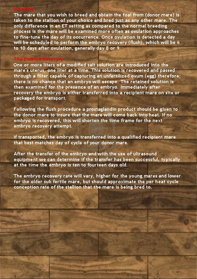 Text Box: BreedingThe mare that you wish to breed and obtain the foal from (donor mare) is taken to the stallion of your choice and bred just as any other mare. The only difference in an ET setting as compared to the normal breeding process is the mare will be examined more often as ovulation approaches to fine-tune the day of its occurrence. Once ovulation is detected a day will be scheduled to perform the embryo recovery (flush), which will be 6 to 10 days after ovulation, generally day 8 or 9. The Embryo RecoveryOne or more liters of a modified salt solution are introduced into the mare's uterus, one liter at a time. This solution is recovered and passed through a filter capable of capturing an unfertilized ovum (egg) therefore; there is no chance that an embryo will escape. The retained solution is then examined for the presence of an embryo. Immediately after recovery the embryo is either transferred into a recipient mare on site or packaged for transport. Following the flush procedure a prostaglandin product should be given to the donor mare to insure that the mare will come back into heat. If no embryo is recovered, this will shorten the time frame for the next embryo recovery attempt. If transported, the embryo is transferred into a qualified recipient mare that best matches day of cycle of your donor mare. After the transfer of the embryo and with the use of ultrasound equipment we can determine if the transfer has been successful, typically at the time the embryo is ten to fourteen days old. The embryo recovery rate will vary, higher for the young mares and lower for the older sub fertile mare, but should approximate the per heat cycle conception rate of the stallion that the mare is being bred to.